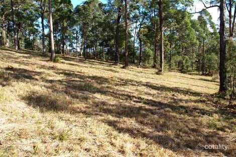 17 Lake Ridge Dr, Kew, NSW 2439