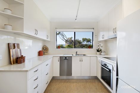 Property photo of 7/90 Howard Avenue Dee Why NSW 2099