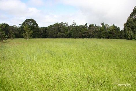 31 Cleminson Cl, Malanda, QLD 4885