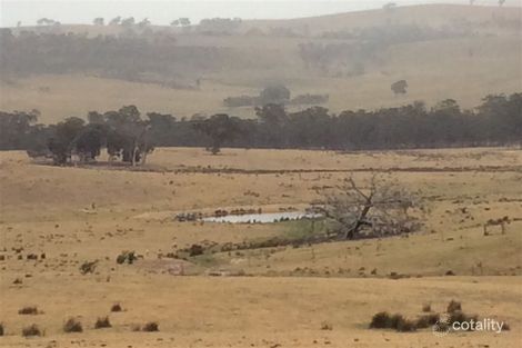 250 Daisyburn Rd, Hilldene, VIC 3660