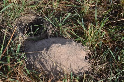 Lot 12 Hog Bay Rd, Cygnet River, SA 5223