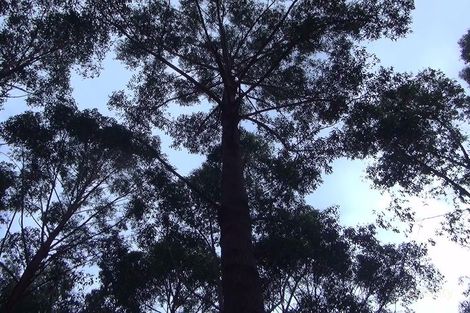 Lot 61 Osmington Rd, Osmington, WA 6285