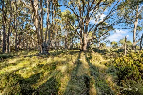 47 Woodwards Bay Rd, Bradys Lake, TAS 7140