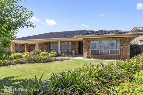 Property photo of 47 Spruce Avenue Warradale SA 5046