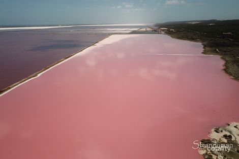8 Coral Bvd, Kalbarri, WA 6536