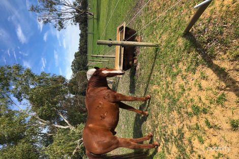 Property photo of 34 Arbuckle Street Muchea WA 6501