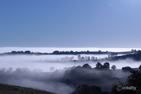 16 Spurfield Rd, Mcleans Ridges, NSW 2480