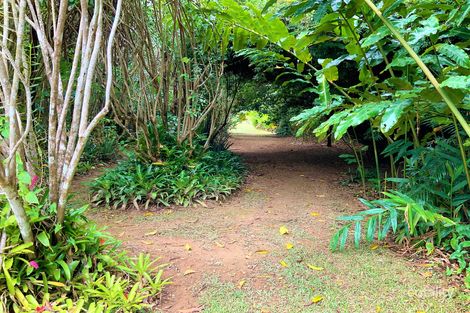 Property photo of 1235 Old Tully Road Maadi QLD 4855