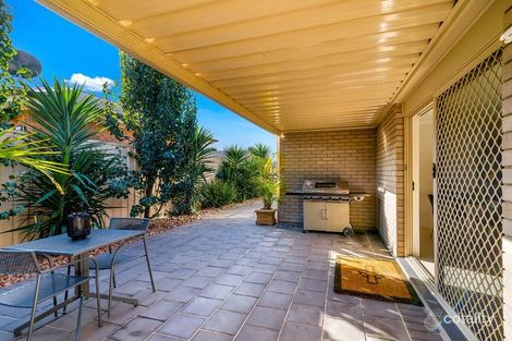 Property photo of 31B Creslin Terrace Camden Park SA 5038