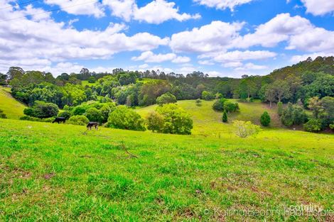 90 Bentley Rd, Tullera, NSW 2480