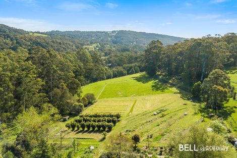 Property photo of 10 Doonaha Road Cockatoo VIC 3781