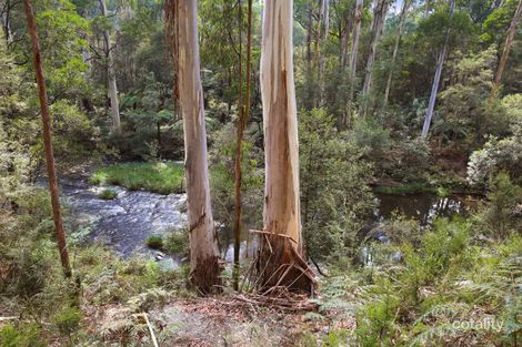 Property photo of 6 Callop Street East Warburton VIC 3799