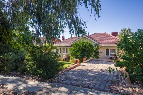 Property photo of 18 Scaddan Street Wembley WA 6014