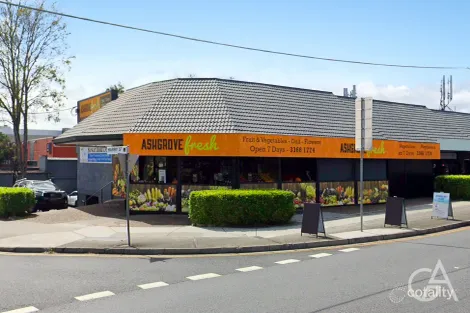 Property photo of 33 Devonshire Street Ashgrove QLD 4060