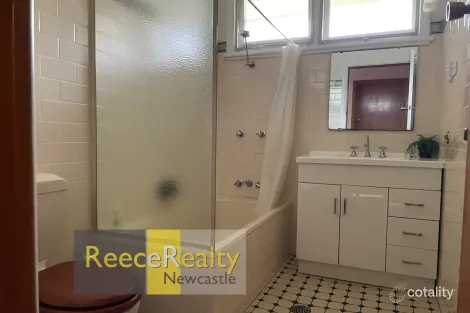 Property photo of 37 Sunset Boulevard North Lambton NSW 2299