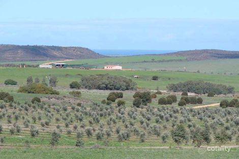 248 Bunter Way, Howatharra, WA 6532