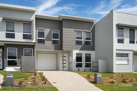 Property photo of 55 Dryander Street Yarrabilba QLD 4207