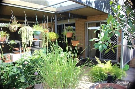 Property photo of 5 Bowman Terrace Maitland SA 5573