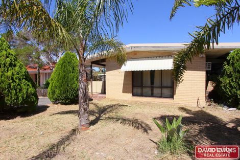 342 Marangaroo Dr, Koondoola, WA 6064