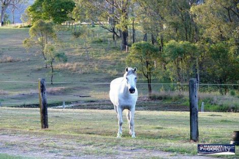 735 Sandy Creek Rd, Josephville, QLD 4285
