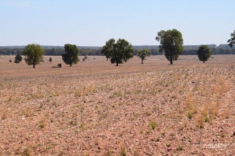 1341 Meadowview Rd, Albert, NSW 2873