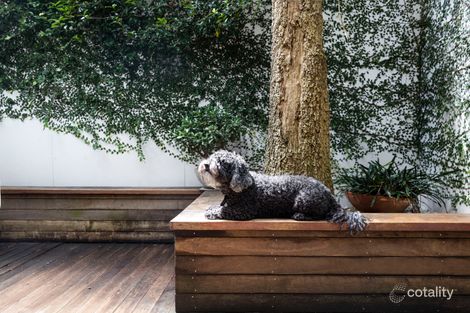 Property photo of 4 Brandling Lane Alexandria NSW 2015