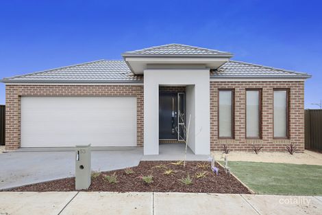 53 Larneuk Dr, Cobblebank, VIC 3338
