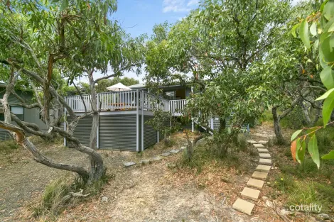 Property photo of 21 She Oak Crescent Fairhaven VIC 3231