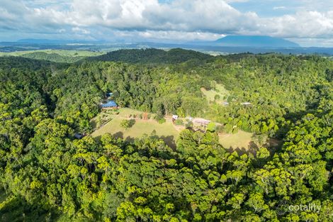 222 Hitchconole Rd, Tarzali, QLD 4885