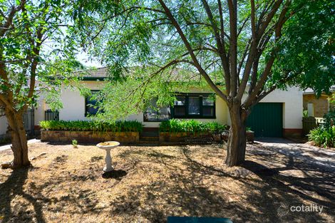 19 Hann St, Glynde, SA 5070