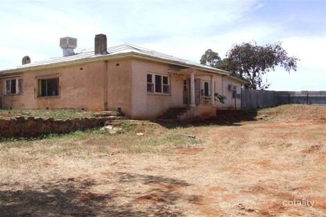 203 Penshurst Rd, Booborowie, SA 5417