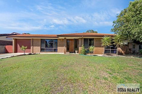 8 Leicester Sq, Alexander Heights, WA 6064