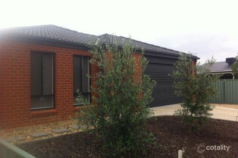 6 Arrawalli Ave, Ascot, VIC 3551