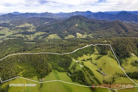 Property photo of 344 Williams Hill Road Talarm NSW 2447