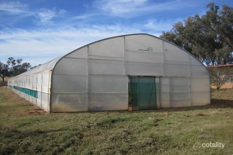 Property photo of 5 Friends Lane Young NSW 2594