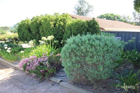 Property photo of 1/29 Beare Street Clare SA 5453