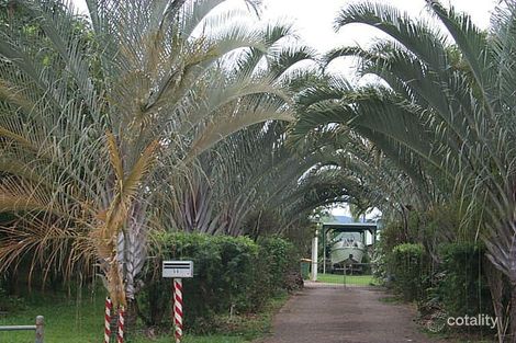 Property photo of 59 Bathurst Drive Bentley Park QLD 4869