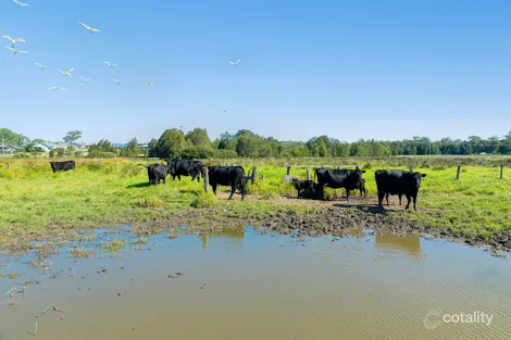 Property photo of 117 Queen Street Moruya NSW 2537