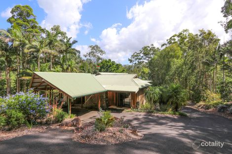 Property photo of 46 Basil Road Nimbin NSW 2480