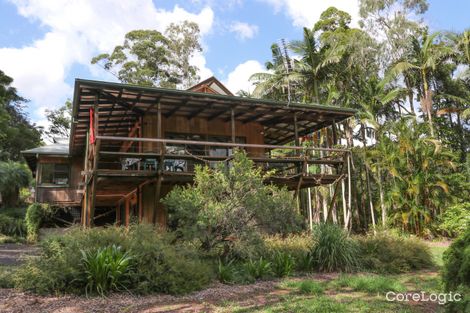 Property photo of 46 Basil Road Nimbin NSW 2480