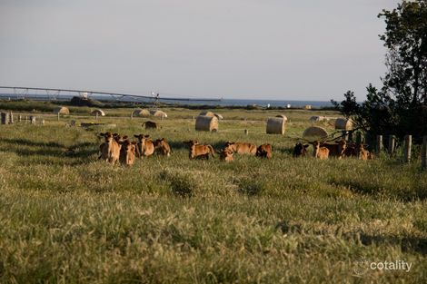 203 Eight Mile Creek Rd, Port Macdonnell, SA 5291