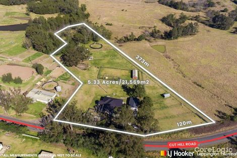 Property photo of 305 Cut Hill Road Cobbitty NSW 2570