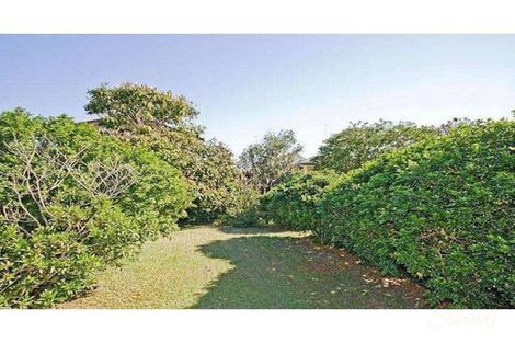 Property photo of 67 Dobson Street Ascot QLD 4007