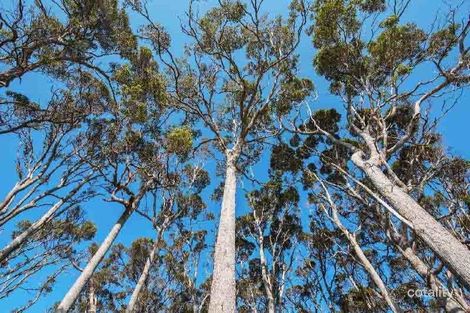 Property photo of LOT PL0217/217 Brockman Highway Karridale WA 6288