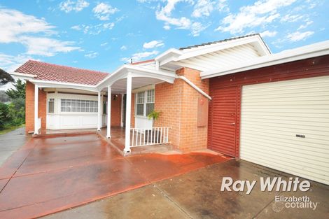 Property photo of 35 McKenzie Road Elizabeth Downs SA 5113