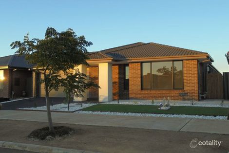 38 Coltan Ave, Cobblebank, VIC 3338
