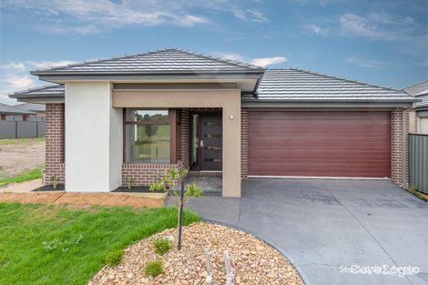 Property photo of 19 Gossia Avenue Craigieburn VIC 3064