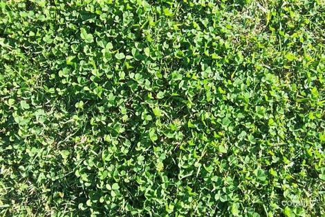 Property photo of 279 Bestmann Road Sandstone Point QLD 4511