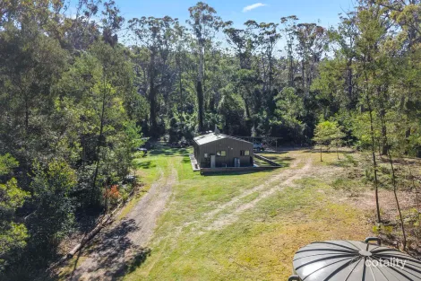 558 Reedy Creek Rd, Dignams Creek, NSW 2546