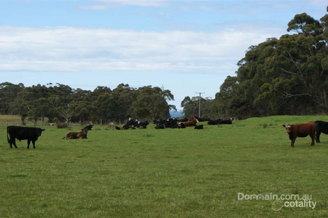 Property photo of 244 Loosemores Road Hellyer TAS 7321